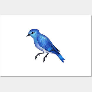 Cozy Mountain Bluebird Posters and Art